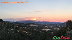 IMG 2576